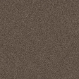 Attraction beigebruin 0485