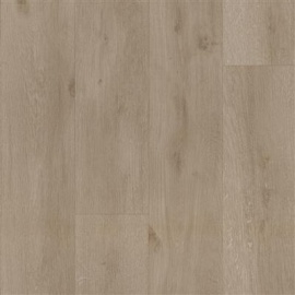 Banchieri Eiken 5270