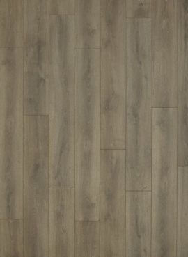 Coyote Sommer Eiche Natur