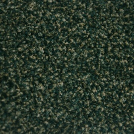 Alaska flessengroen 0955