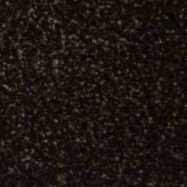 Alaska sepiabruin 0670